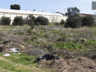 Alla fine della stradina ci ritroviamo nel pieno di una lama: si tratta di lama Valenzano, il letto di un antico torrente che partendo da Valenzano percorre questa zona e �sfocia� sul lungomare a sud di Bari. La lama � praticamente una discarica a cielo aperto:  sacchi della spazzatura, resti di mobili e rifiuti di altro genere rovinano la vegetazione e nascondono le viole che iniziano a fiorire qua e l�